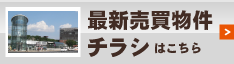最新売買物件チラシ